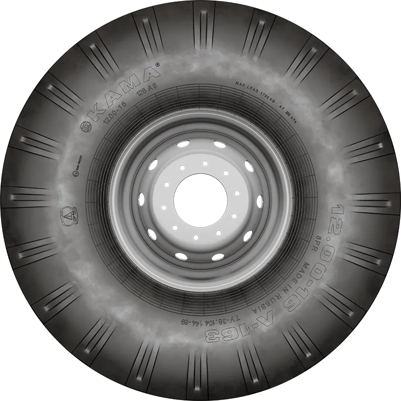 Л-163 в Александровске-Сахалинском — KAMA TYRES Л-163 в Александровске-Сахалинском